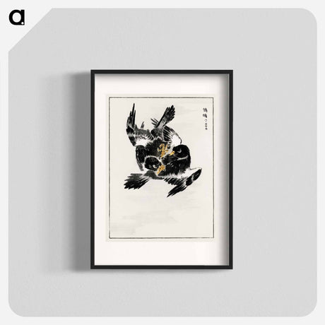 アートポスター-Japanese Jungle Nightjar
 - 鳥類図鑑 Poster.