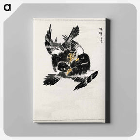 アートパネル-Japanese Jungle Nightjar
 - 鳥類図鑑 Canvas.