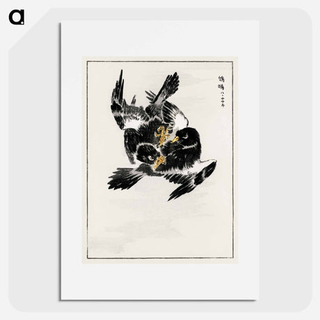 アートポスター-Japanese Jungle Nightjar
 - 鳥類図鑑 Poster.