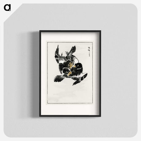 1-70_Pictorial-Monograph-of-Birds_blk