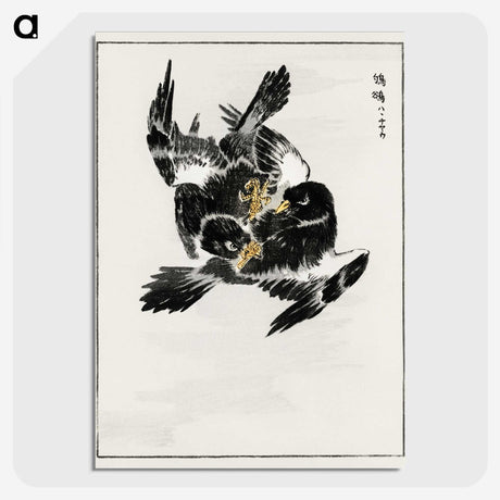 1-70_Pictorial-Monograph-of-Birds_picture-crop