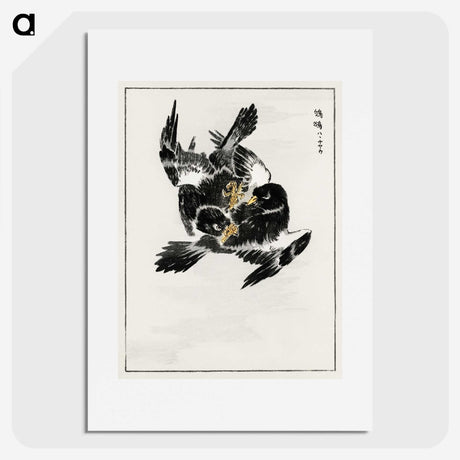1-70_Pictorial-Monograph-of-Birds_picture