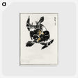 1-70_Pictorial-Monograph-of-Birds_postcard