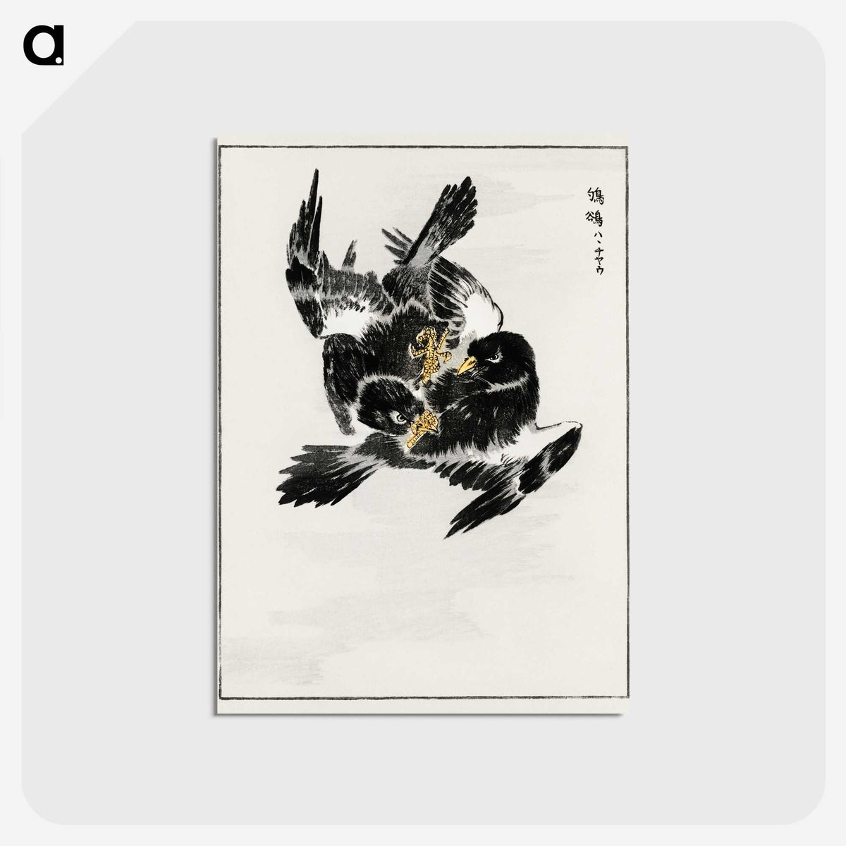 1-70_Pictorial-Monograph-of-Birds_postcard