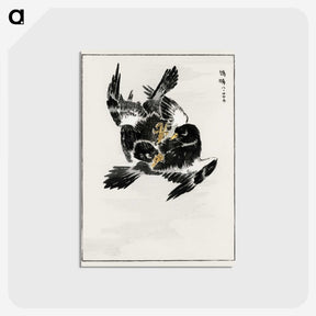 1-70_Pictorial-Monograph-of-Birds_postcard