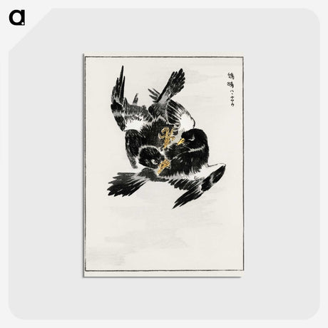 1-70_Pictorial-Monograph-of-Birds_postcard