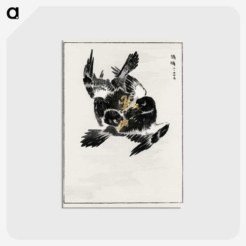 日本産ヨタカ - 鳥類図鑑 Postcard.