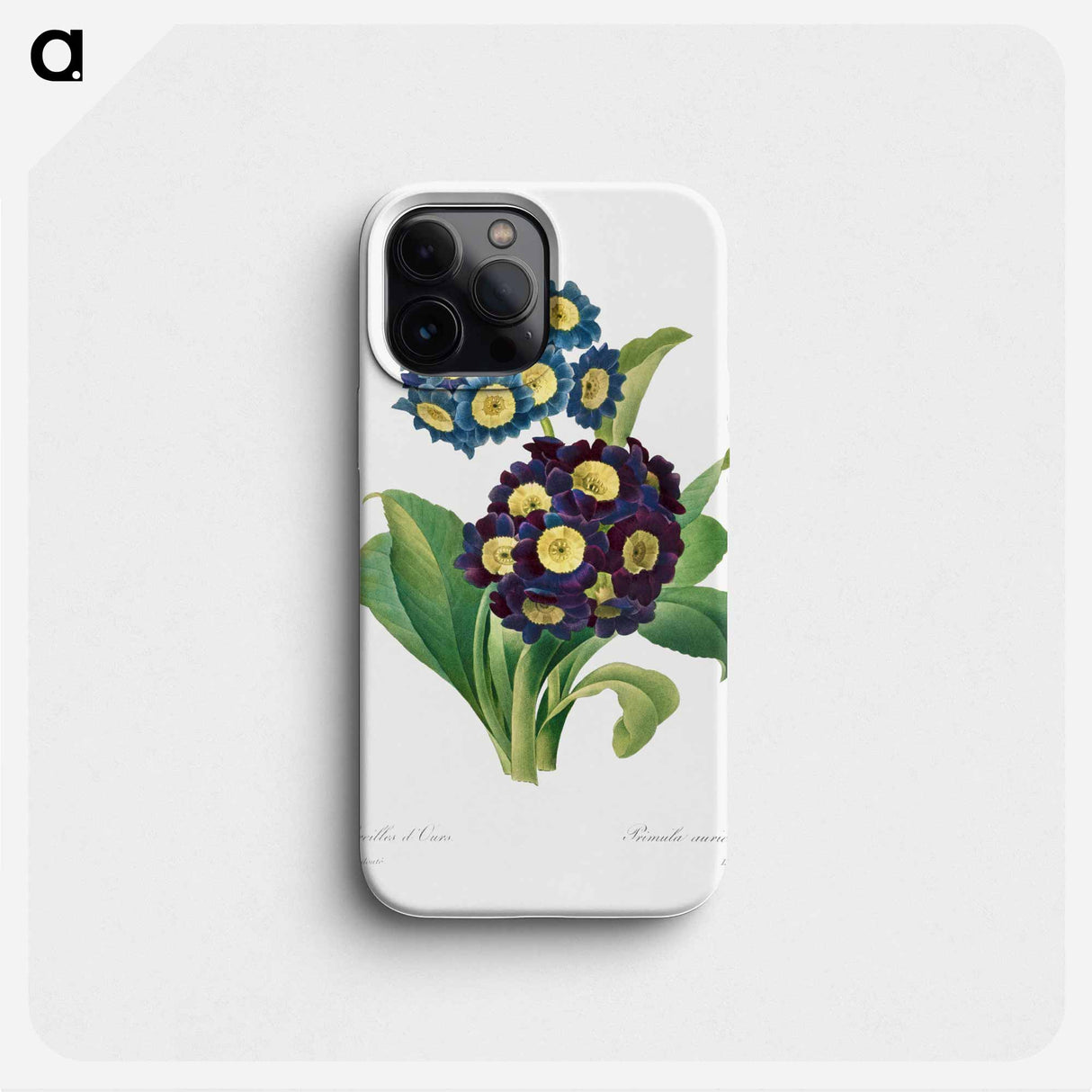 Primula Auricula - Pierre Joseph Redouté Phone Case.