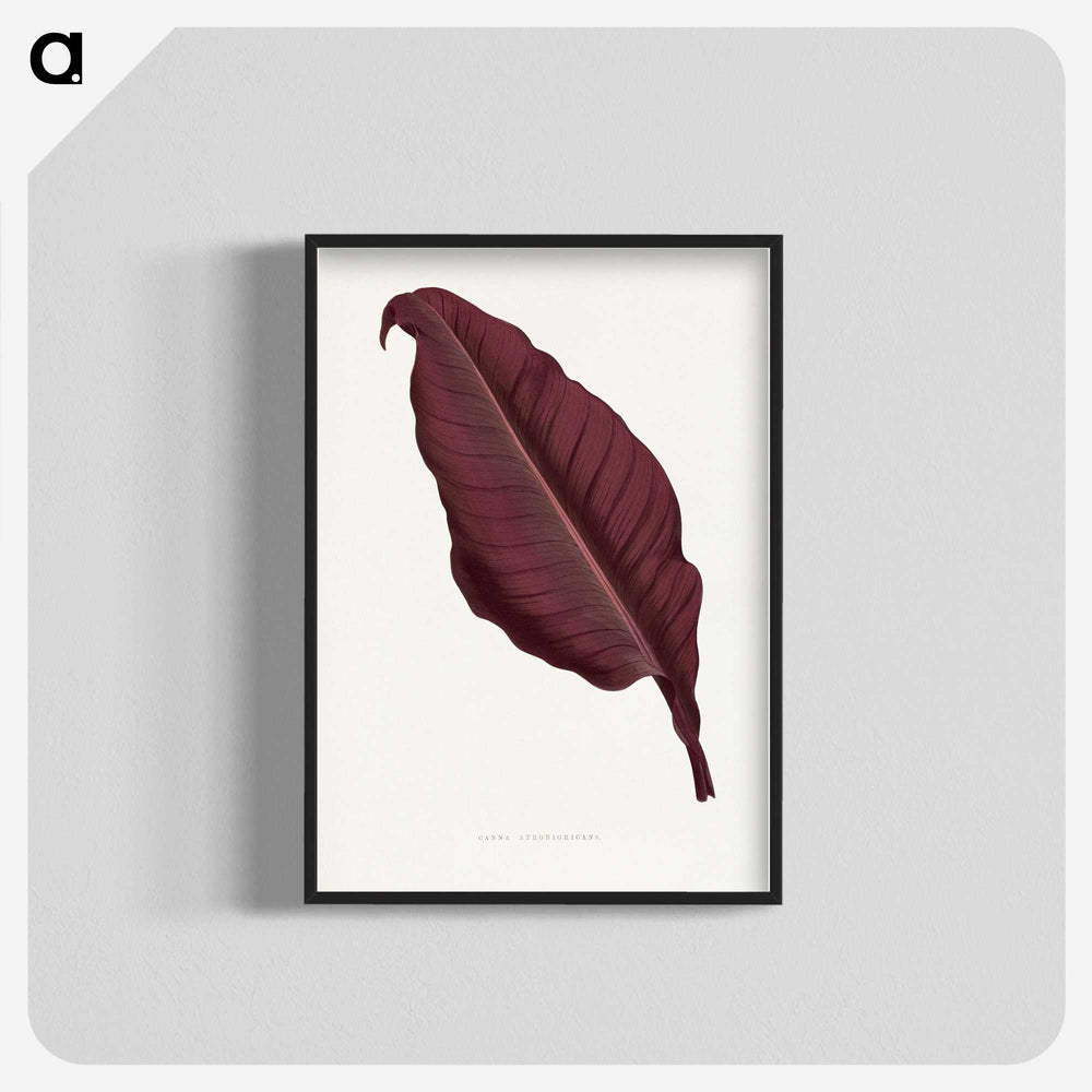1-70_Plants-with-Colored-Foliage_blk-crop