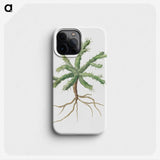 1-70_Robert-Jacob-Gordon_phone