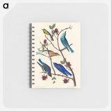 アートメモ帳-Townsend's Warbler, Arctic Blue-bird and Western Blue-bird from Birds of America
 - アメリカの鳥たち Memo.