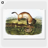 1-70_The-Grammar-of-Ornament_picture-crop