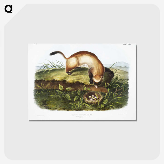 1-70_The-Grammar-of-Ornament_postcard