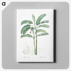 1-70_The-Lilies_canvas
