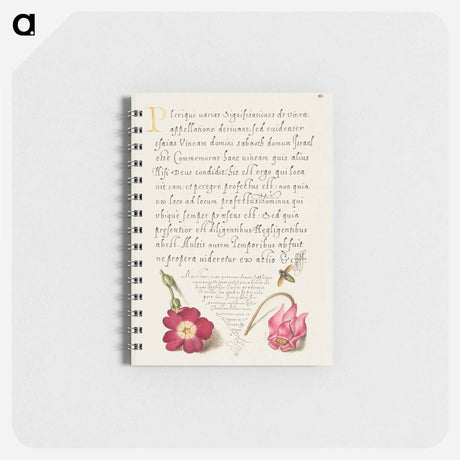 アートメモ帳-Insect, Balkan Primrose, and Alpine Violet from Mira Calligraphiae Monumenta
 - 書道のお手本 Memo.