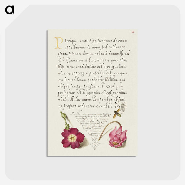 1-70_The-Model-Book-of-Calligraphy_postcard