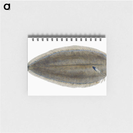 1-70_The-Natural-History-of-British-Fishes_memo