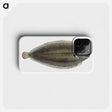 1-70_The-Natural-History-of-British-Fishes_phone