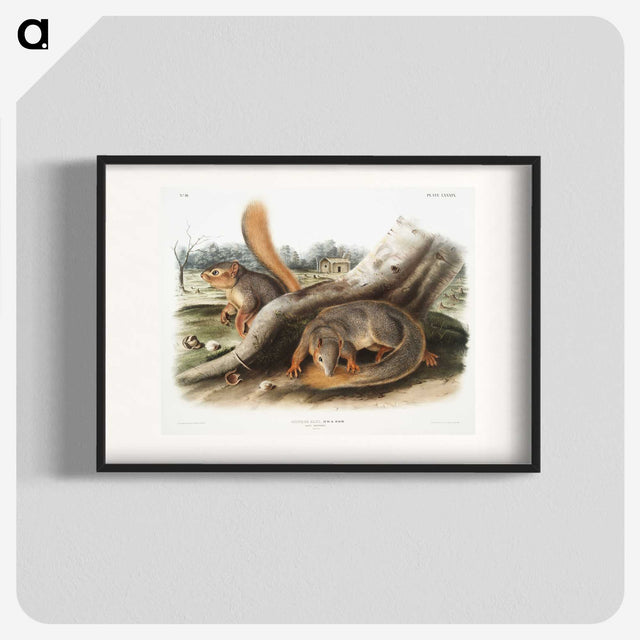 1-70_The-Viviparous-Quadrupeds_blk