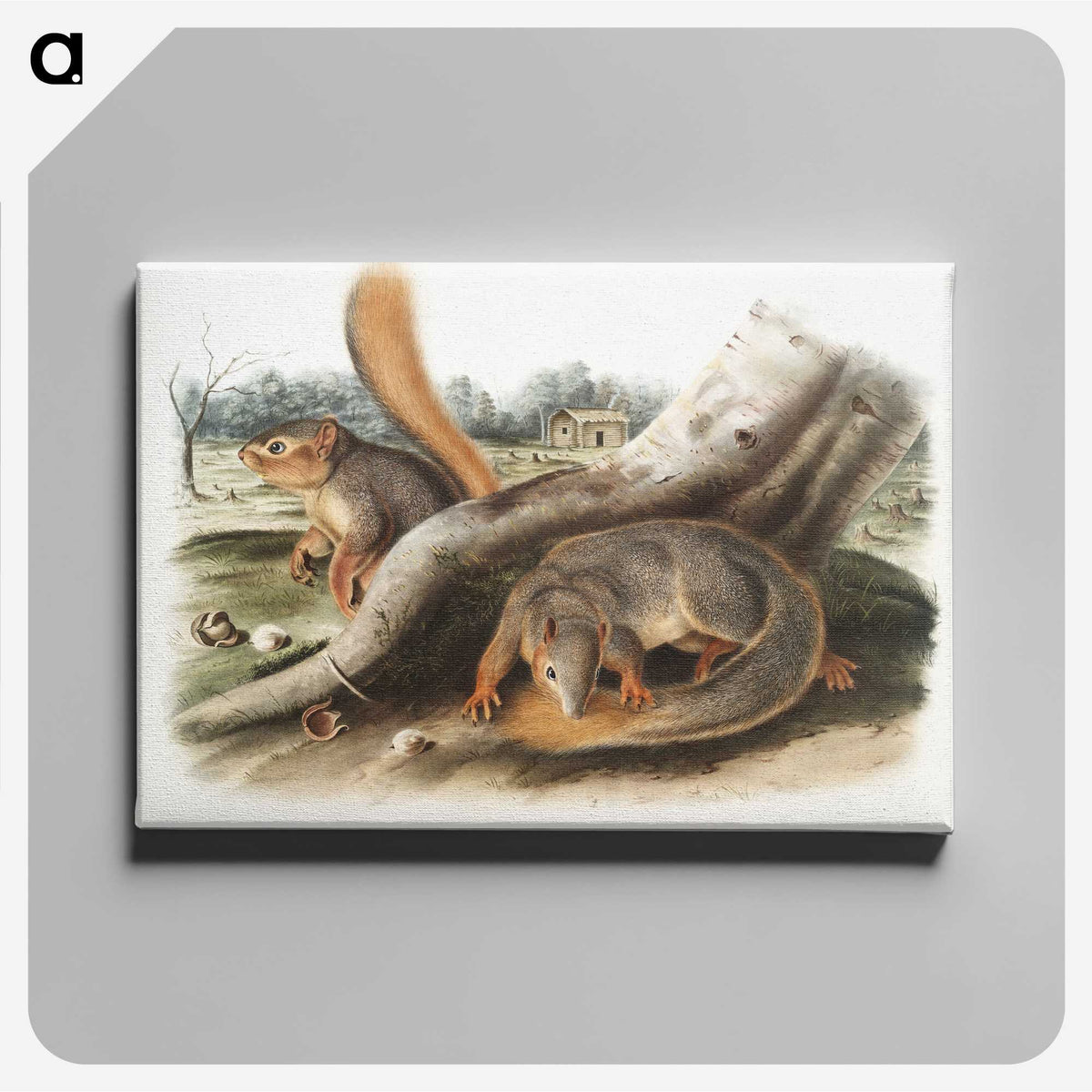 1-70_The-Viviparous-Quadrupeds_canvas