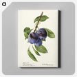 1-70_USDA-Watercolor-Fruit-Painting-Collection_canvas