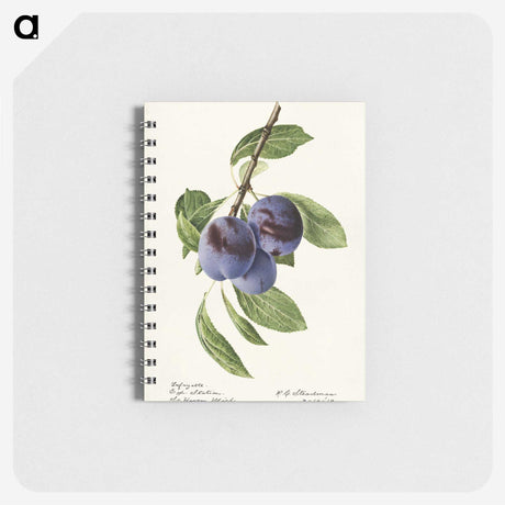 1-70_USDA-Watercolor-Fruit-Painting-Collection_memo
