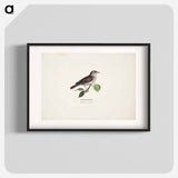 Garden warbler - Wilhelm von Wright Poster.