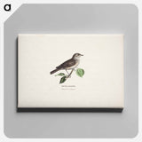 Garden warbler - ヴィルヘルム フォン ライト Canvas.