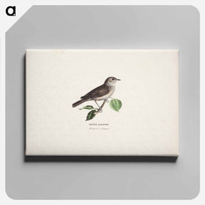 アートパネル-Garden warbler - ヴィルヘルム フォン ライト Canvas.