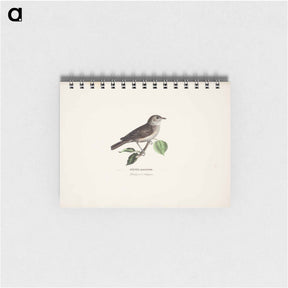 アートメモ帳-Garden warbler - ヴィルヘルム フォン ライト Memo.