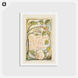 アートポストカード-Songs of Innocence and of Experience: The Sick Rose - ウィリアム ブレイク Postcard.