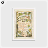 アートポストカード-Songs of Innocence and of Experience: The Sick Rose - ウィリアム ブレイク Postcard.