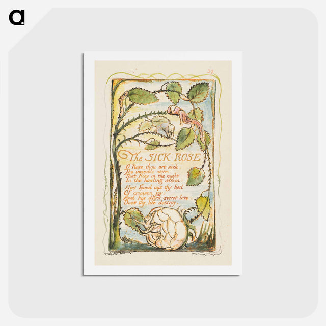 アートポストカード-Songs of Innocence and of Experience: The Sick Rose - ウィリアム ブレイク Postcard.