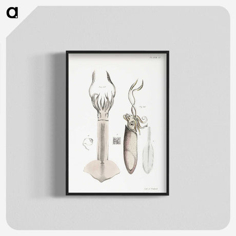 1-70_Zoology-of-New-York_blk-crop