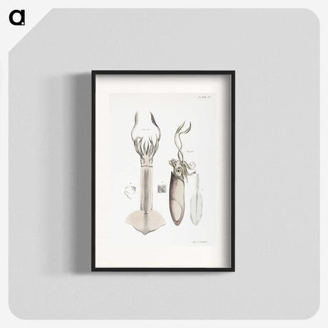 1-70_Zoology-of-New-York_blk