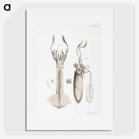 1-70_Zoology-of-New-York_picture
