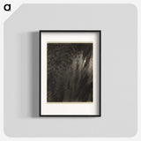 1-71_Alfred-Stieglitz_blk
