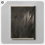 1-71_Alfred-Stieglitz_canvas