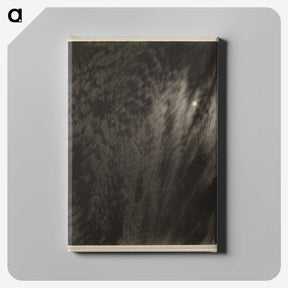 1-71_Alfred-Stieglitz_canvas
