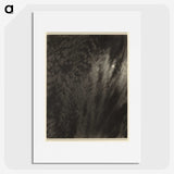 1-71_Alfred-Stieglitz_picture