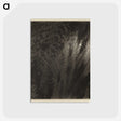 1-71_Alfred-Stieglitz_postcard