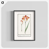1-71_Anselmus-Boetius-de-Boodt_blk