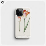 1-71_Anselmus-Boetius-de-Boodt_phone