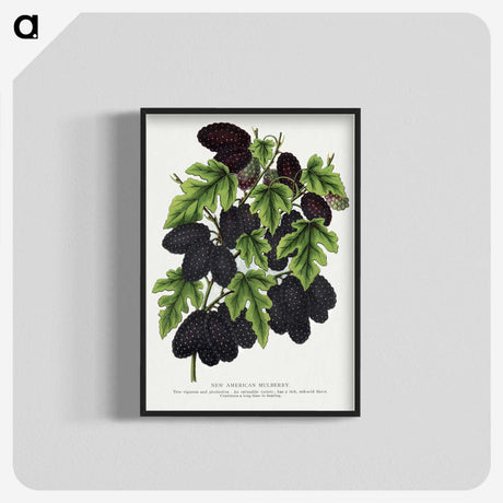 1-71_Botanical-Specimen-Plates_blk-crop