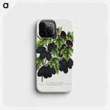 1-71_Botanical-Specimen-Plates_phone