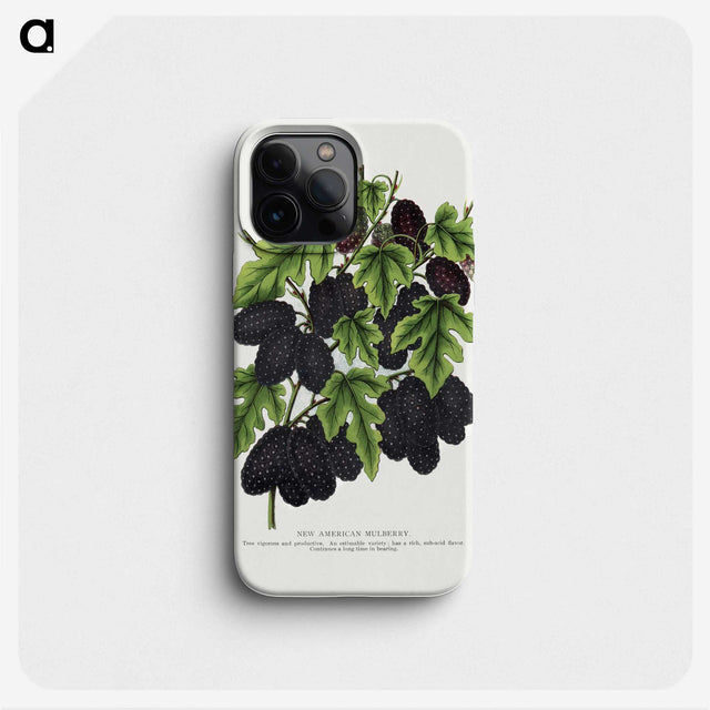 1-71_Botanical-Specimen-Plates_phone