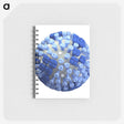 1-71_COVID-19_memo