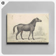1-71_Charles-Hamilton-Smith_canvas
