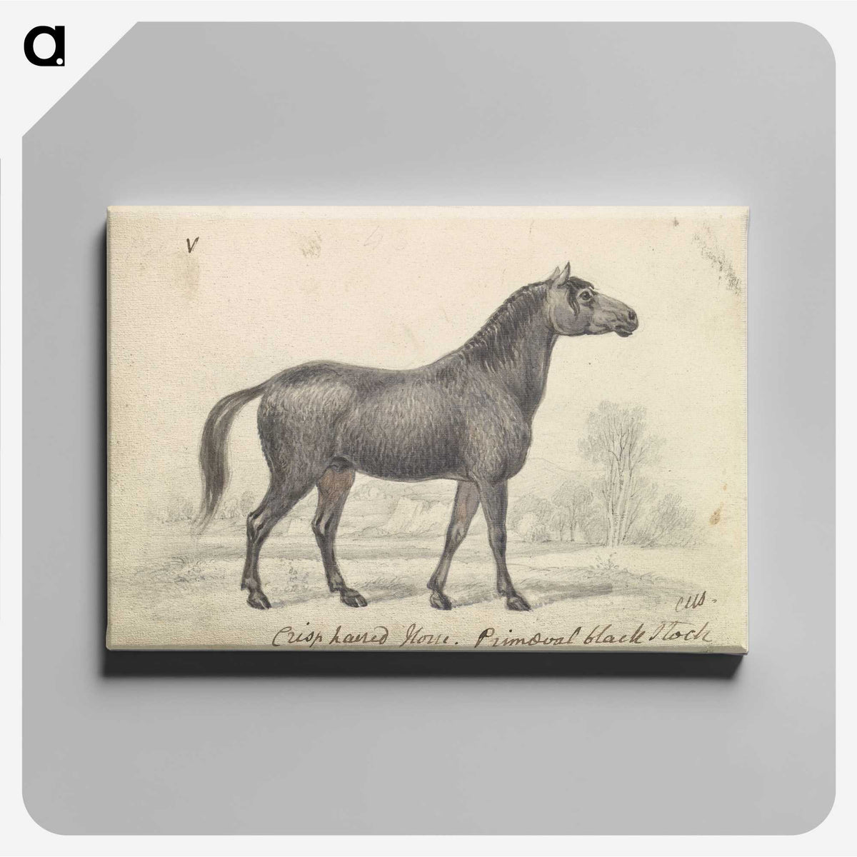 1-71_Charles-Hamilton-Smith_canvas