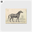 1-71_Charles-Hamilton-Smith_postcard